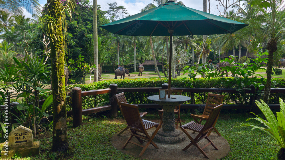 Cafe view to the elephants park