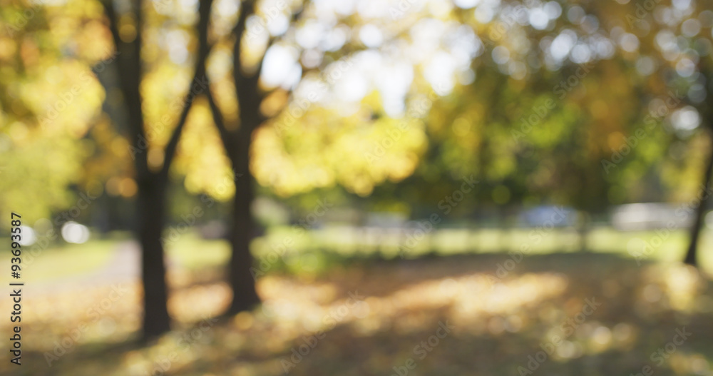blurred background of autumn park - obrazy, fototapety, plakaty 