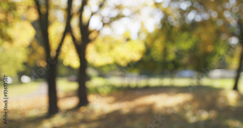 Fotografie, Obraz blurred background of autumn park