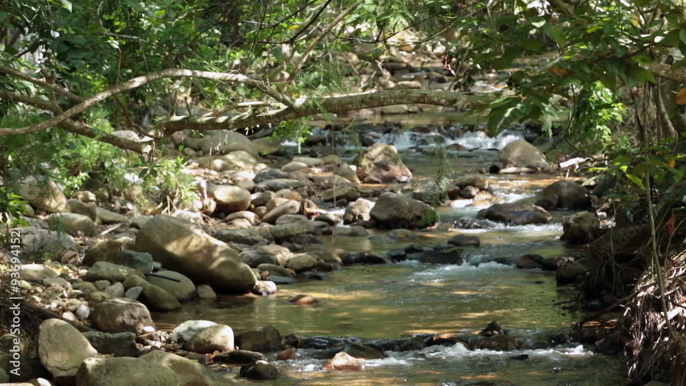 Puerto Vallarta Mexico River Cuale tropical HD 4003 Puerto Vallarta Mexico River Cuale tropical HD 4003