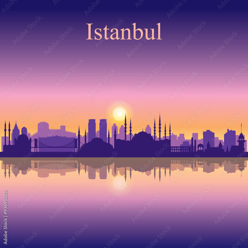 Istanbul city skyline silhouette background
