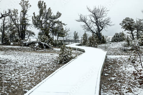 Obraz na plátně Snowy Boardwalk