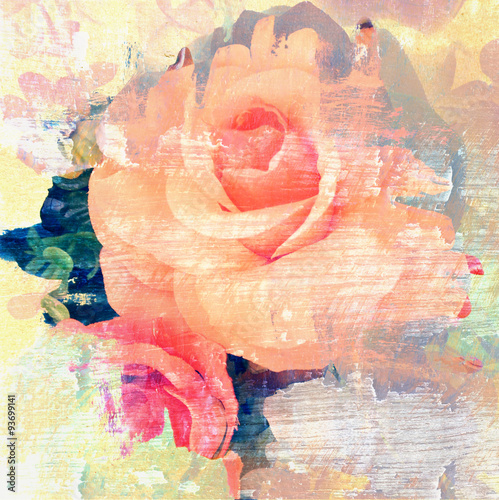 Flower beautiful rose, art paint illustration for background