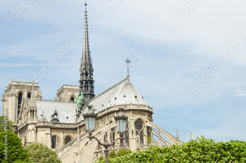 Cathedral of Notre Dame de Paris sunny summer afternoon