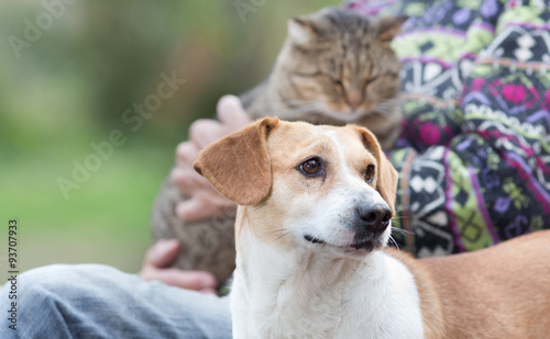 Senior man with pets © Budimir Jevtic