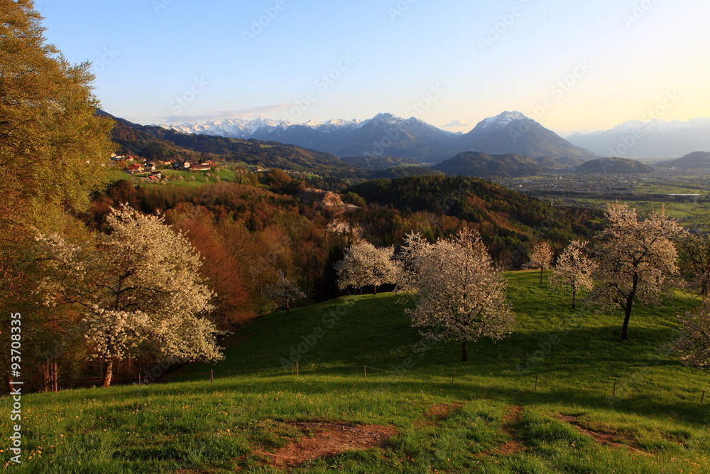 Fototapeta premium Blühende Landschaften