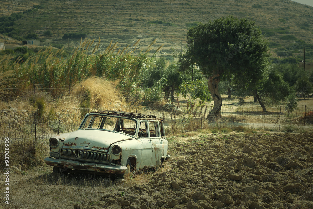 Abandoned car in a meadow