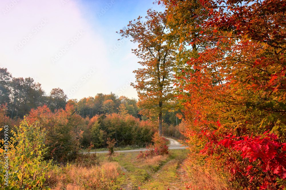 Fototapeta premium jesień na Warmii