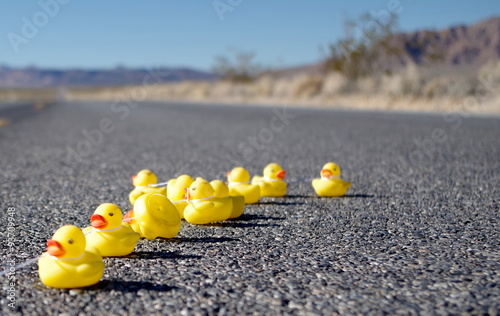 Obraz na plátně Enten auf der Straße, Death Valley, USA