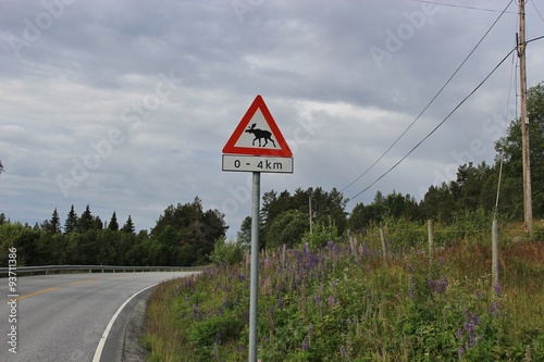 Warning of mooses crossing the road. Norway, Europe.