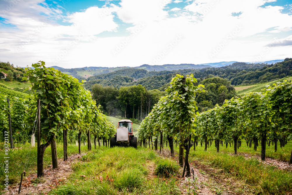 Southern Styria Austria - Grape vines: Working in steep vineyard with a tractor Southern Styria Austria - Grape vines: Working in steep vineyard with a tractor