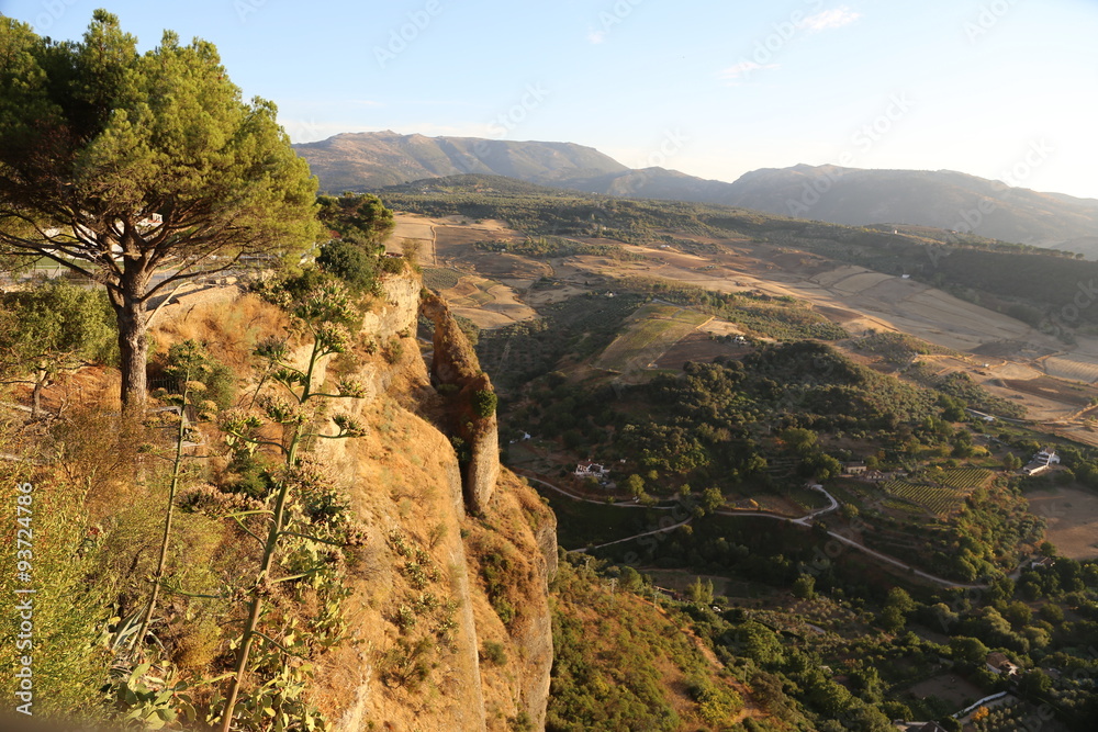 Naklejka premium Gorge in Ronda, Spain