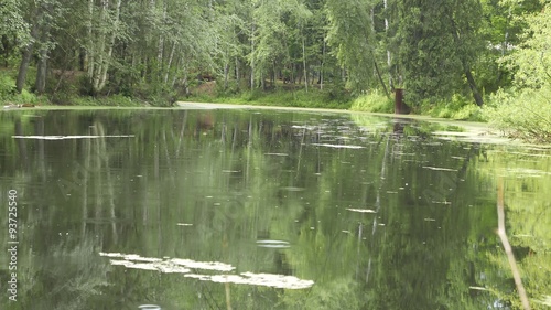 Rain on the pond 4k. photo