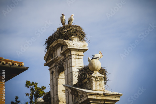 storks nest, Spanish town of Alcala de Henares, palaces and anci