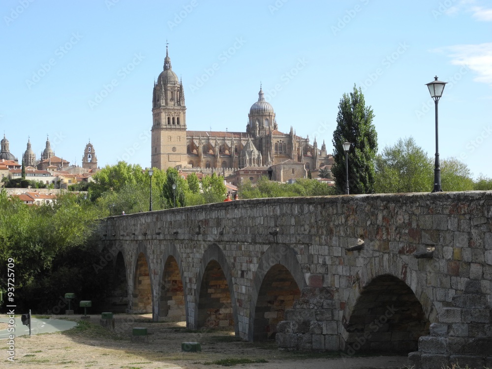 catedral Salamanca