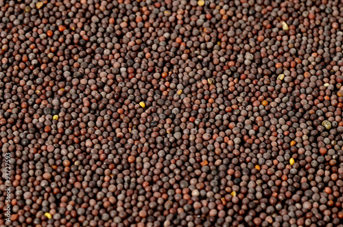 Brown Mustard Seeds