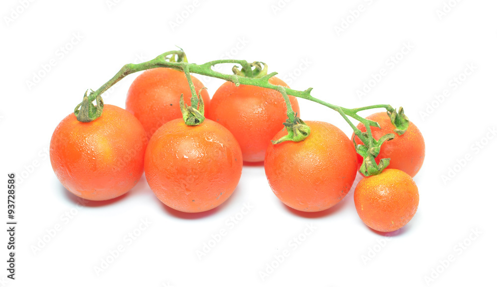 Red tomato isolated on white background Red tomato isolated on white background