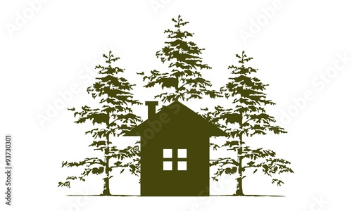 Home and Cedar Tree