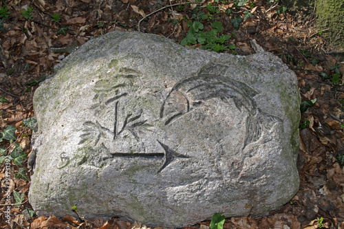 Stein auf dem Bärenkopf im Kalletal