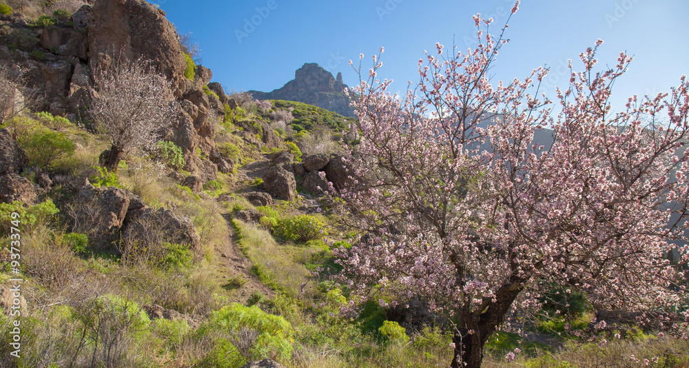 Gran Canaria, Caldera de Tejeda