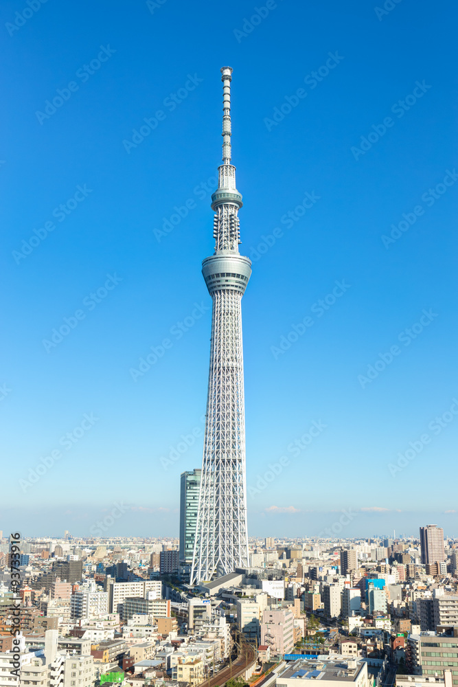 Naklejka premium Tokyo Sky Tree-Aozora
