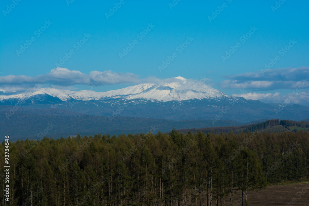 Fototapeta premium 冠雪した高い山
