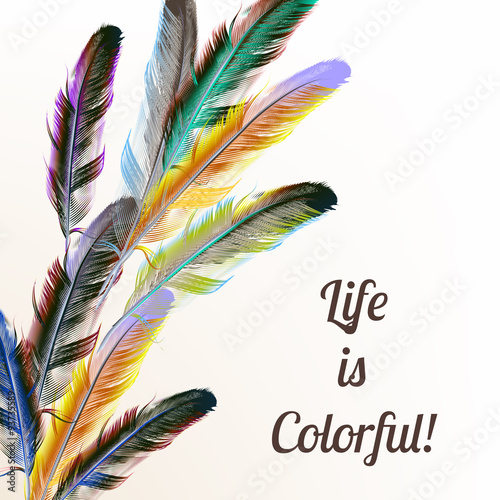 Vector illustration with engraved feathers conceptual background
