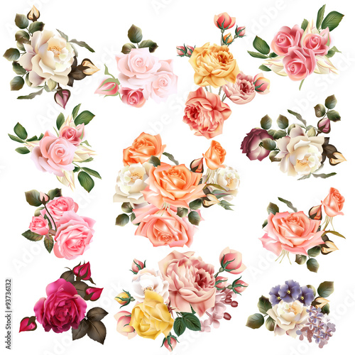 Mega collection of high detailed vector flowers for design