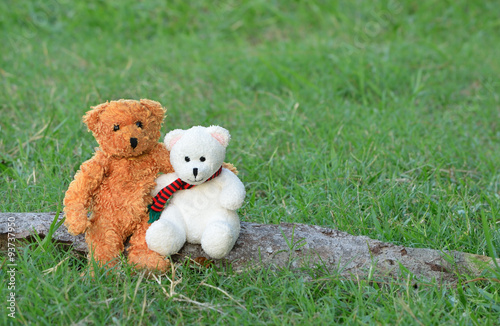 Two teddy bears hugging and sitting on the timber © kheat