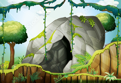 Cave in the deep forest