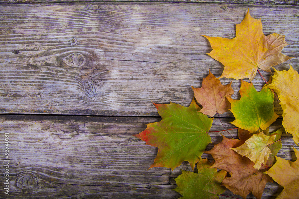 Pumpkins and fall leaves