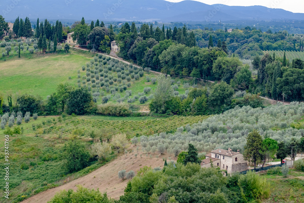 Landscape in Tuscany, Italy