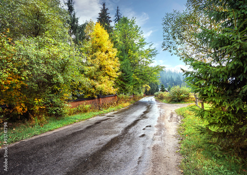 Asphalt road among autumn trees © alexlukin