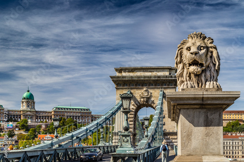Lion on Chain Bridge in Budapest © Vivida Photo PC