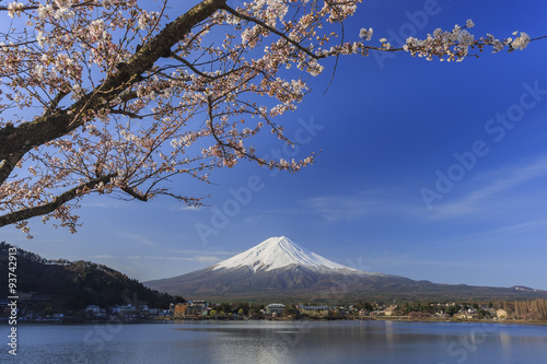The sacred mountain - Mt. Fuji at Japan