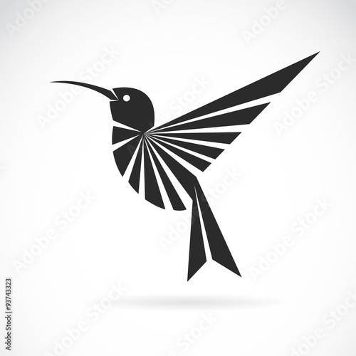 Vector image of an hummingbird design on white background