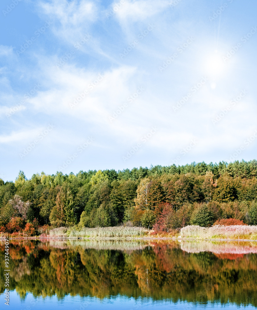 Fototapeta premium Lake in autumn forest