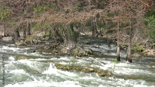 River fast flow through cypress trees HD photo