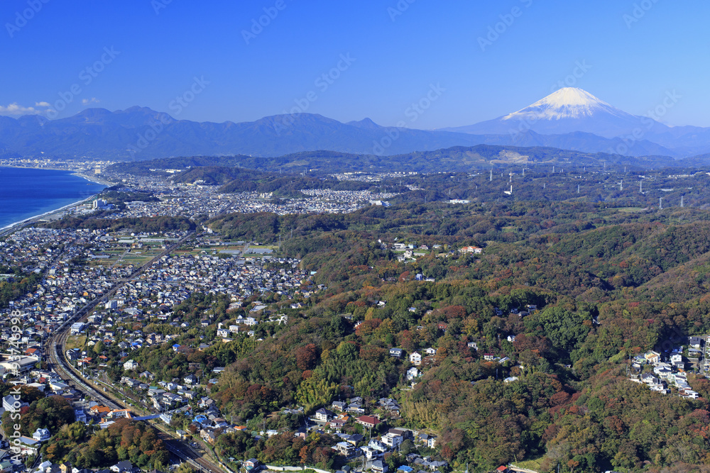 別荘地と富士山／湘南平の別荘地と富士山を望む