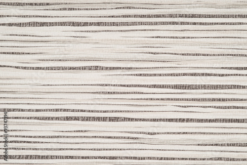 Birch background paper texture