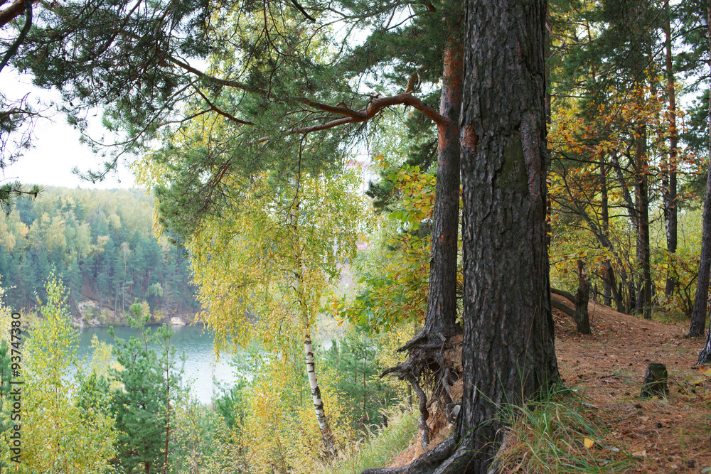 Fototapeta premium SONY DSC