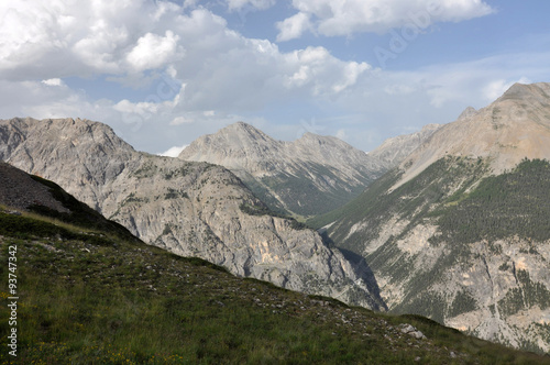 Alpine nature / The Alps are the highest and most extensive mountain range system that lies entirely in Europe, across Austria, France, Germany, Italy, Liechtenstein, Monaco, Slovenia, and Switzerland