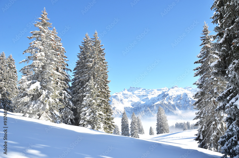 Braunwald, Switzerland