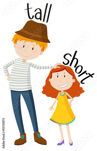 Opposite adjectives tall and short
