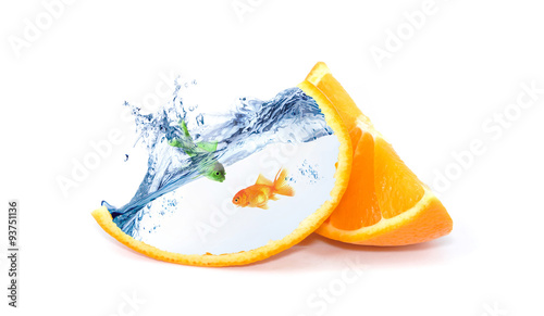 Orangenfisch beim baden