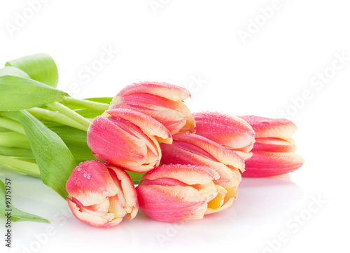 Fototapeta Naklejka Na Ścianę i Meble -  Colorful tulips bunch