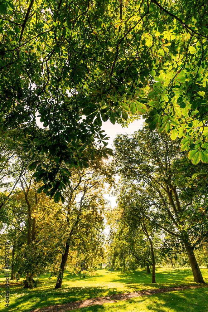 Fototapeta premium Herbst