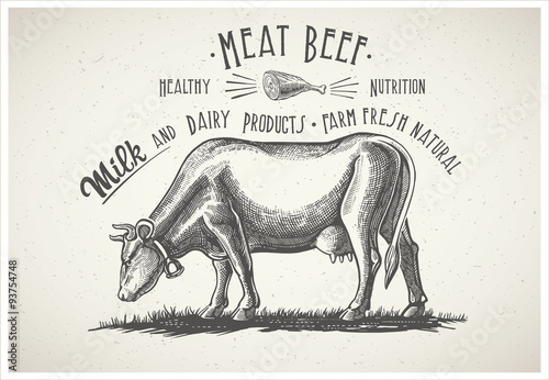 Cow in graphic style, image made from hand drawing.