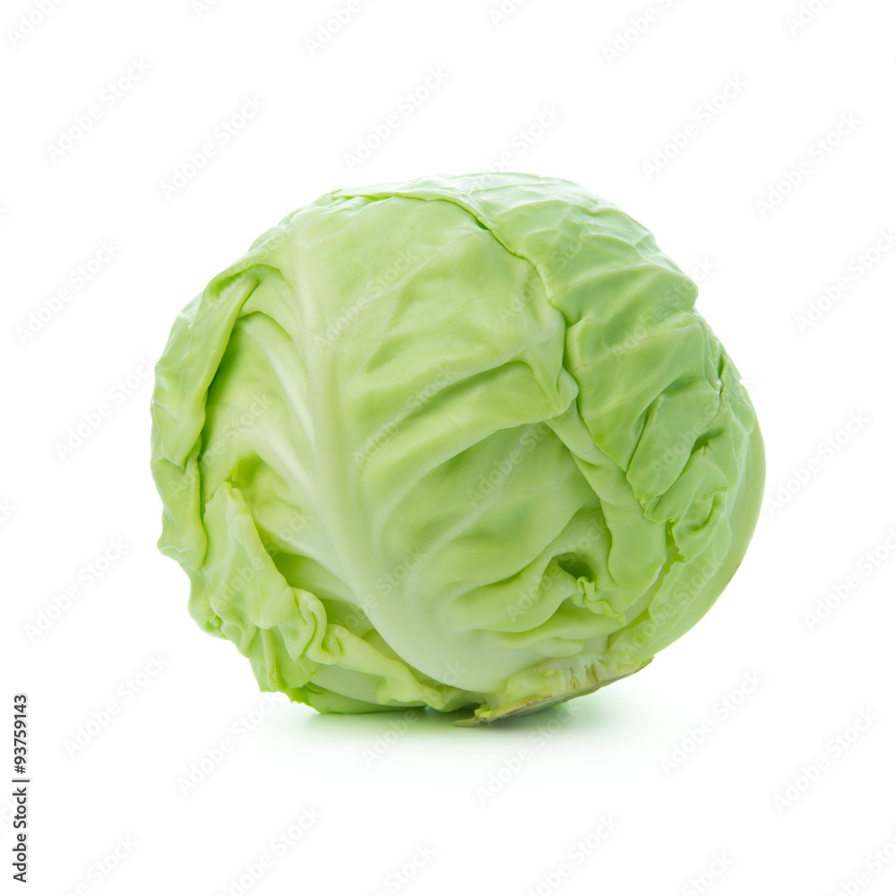 Cabbage Cabbage