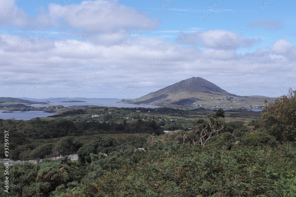 Fototapeta premium Connemara National Park 58